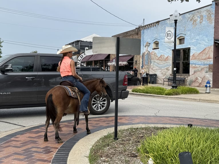 Meer ponys/kleine paarden Ruin 8 Jaar 97 cm Roodbruin in Cleburne