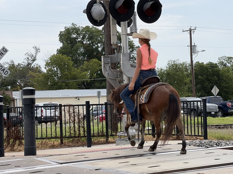 Meer ponys/kleine paarden Ruin 8 Jaar 97 cm Roodbruin in Cleburne