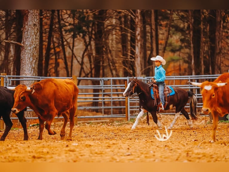 Meer ponys/kleine paarden Ruin 9 Jaar 107 cm Gevlekt-paard in Lyles