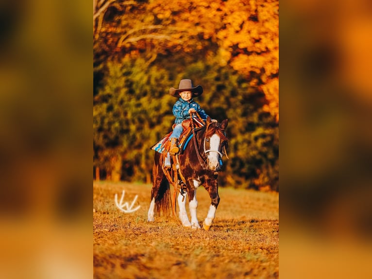 Meer ponys/kleine paarden Ruin 9 Jaar 107 cm Gevlekt-paard in Lyles