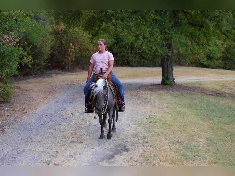 Meer ponys/kleine paarden Ruin 9 Jaar 112 cm Buckskin in Forney