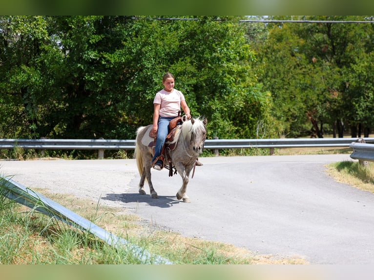 Meer ponys/kleine paarden Ruin 9 Jaar 112 cm Buckskin in Forney