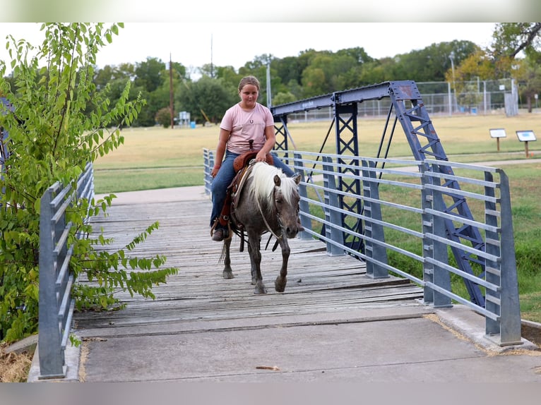 Meer ponys/kleine paarden Ruin 9 Jaar 112 cm Buckskin in Forney