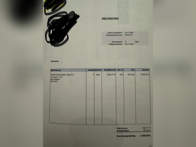 Meer volbloeden Merrie 17 Jaar 158 cm Donkerbruin in Aerzen