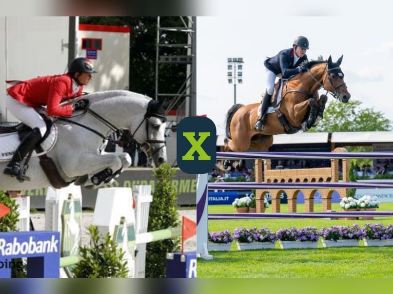 Meer warmbloeden Onbekend Embryo  in Heerde