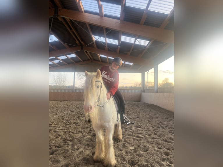 Mensch sucht Pferd 