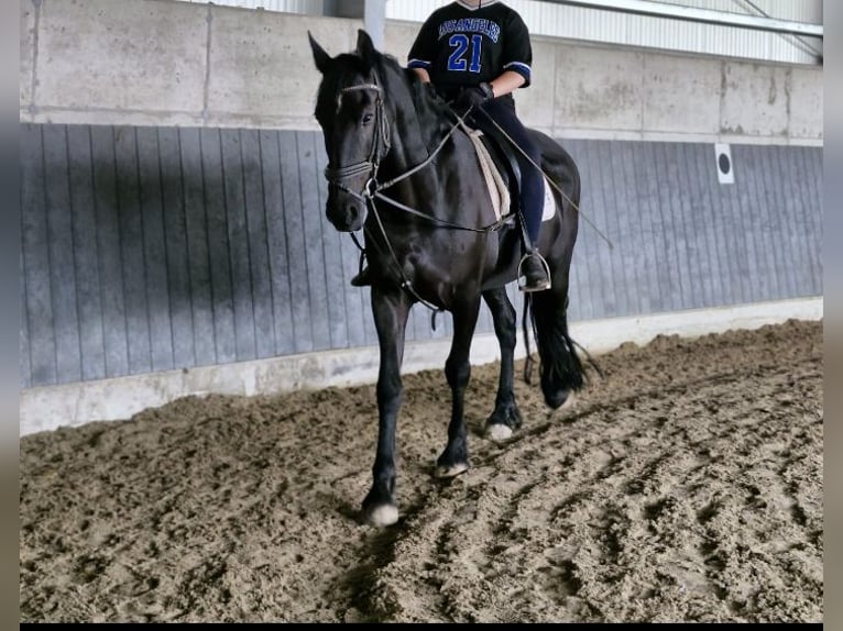 Mensch sucht Reitbeteiligung