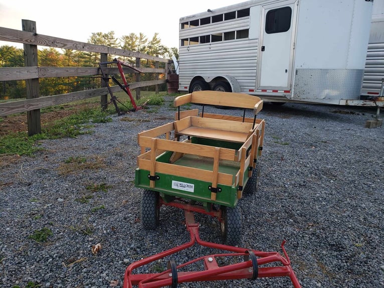 Mini Shetland Pony Ruin 11 Jaar 94 cm Zwart in Millersburg OH