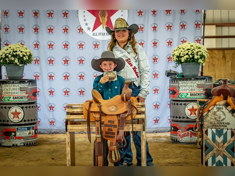 Mini Shetland Pony Stute 6 Jahre 91 cm Roan-Red in Brownstown, IL