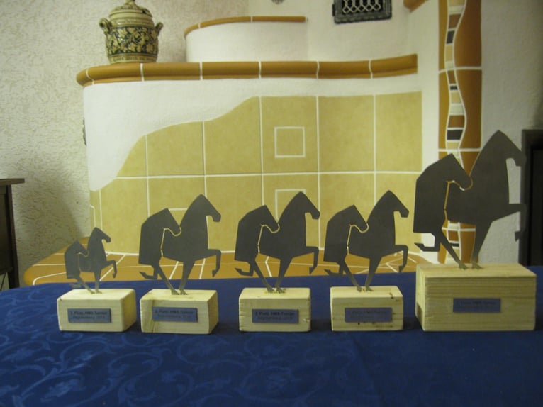 Missouri Foxtrotter Castrone 15 Anni 153 cm in Winterwerb