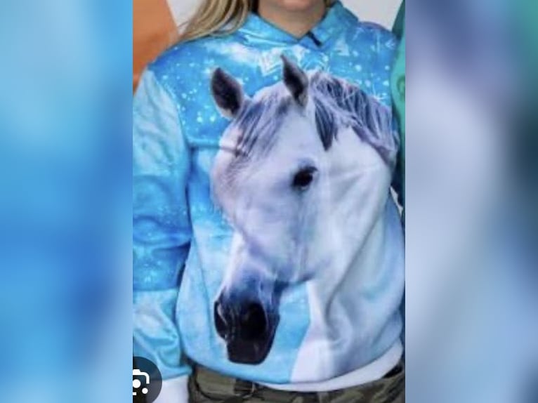 Mooi dressuur paard gezocht om te leasen voor weinig