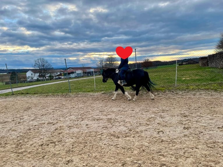 More ponies/small horses Mix Mare 12 years 13,3 hh Pinto in Niefern-Öschelbronn