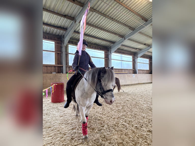 More ponies/small horses Mix Gelding 10 years 11,2 hh Leopard-Piebald in Schn&#xFC;rpflingen