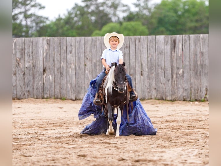 More ponies/small horses Mix Gelding 13 years 10,3 hh in Nevis, MN