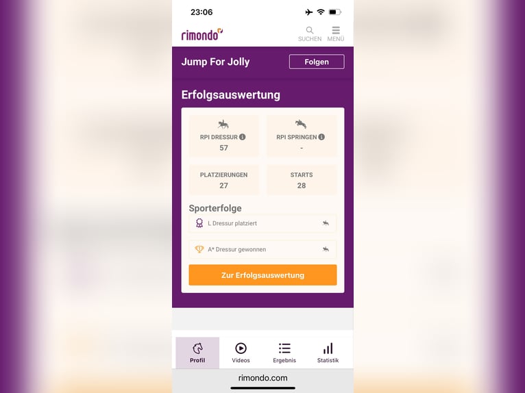 More ponies/small horses Gelding 13 years 13,1 hh Pinto in Kufstein More ponies/small horses Gelding 13 years 13,1 hh Pinto in Kufstein