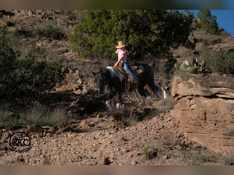 More ponies/small horses Mare 14 years 14 hh Pinto in Canyon