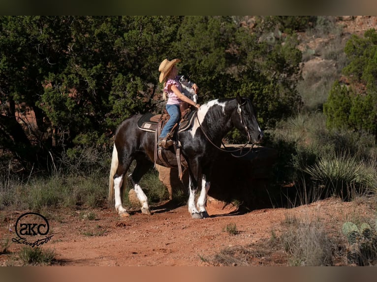 More ponies/small horses Mare 14 years 14 hh Pinto in Canyon