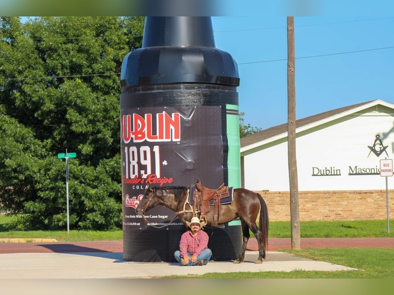 Mustang (amerikaans) Ruin 10 Jaar 142 cm Grullo in Stephenville TX