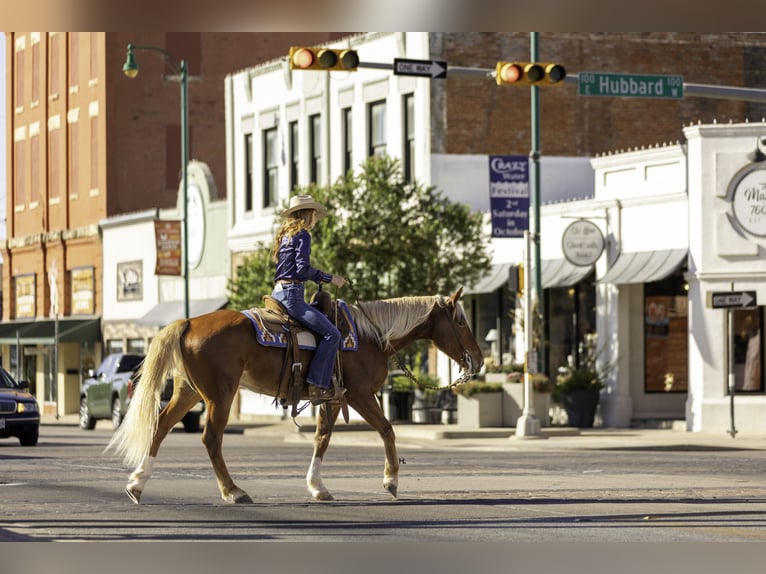 Mustang (american) Gelding 6 years 14,3 hh Chestnut in Weatherford