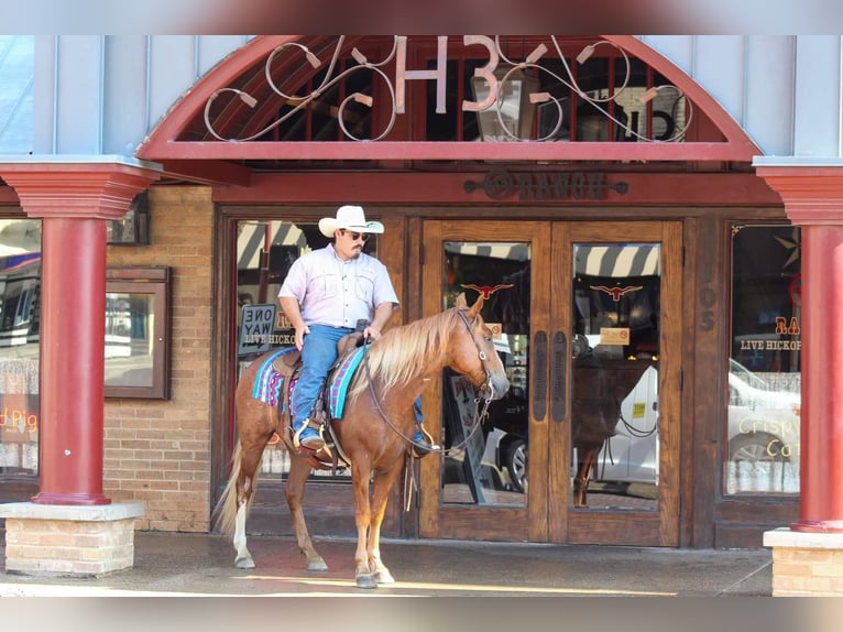 Mustang Caballo castrado 6 años 145 cm Alazán rojizo in Stephenville TX