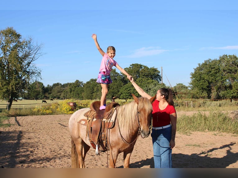 Mustang Caballo castrado 7 años 137 cm Ruano alazán in Stephenville TX