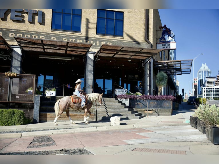 Mustang Hongre 6 Ans 150 cm Rouan Rouge in Georgetown