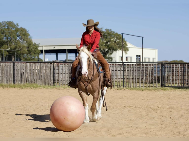 Mustang Hongre 7 Ans 150 cm Rouan Rouge in Georgetown