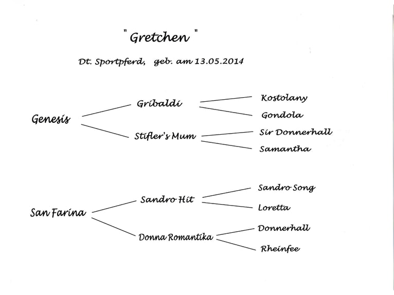 Niemiecki koń sportowy Klacz 11 lat 170 cm Skarogniada in Hetschburg