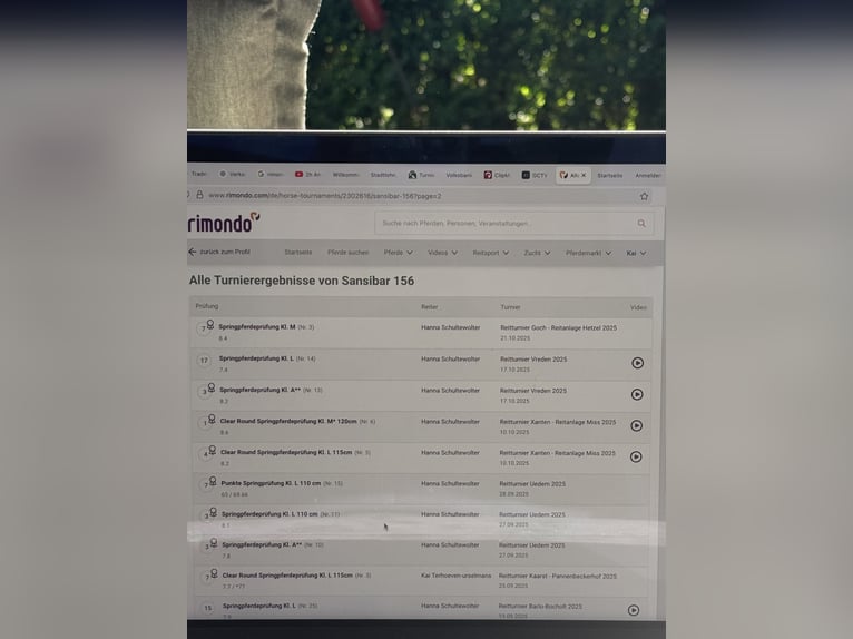 Niemiecki koń wierzchowy Klacz 7 lat 165 cm Gniada in Uedem