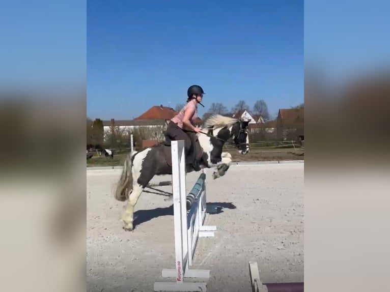 Niemiecki kuc wierzchowy Wałach 12 lat 145 cm Srokata in FronhausenFronhausen