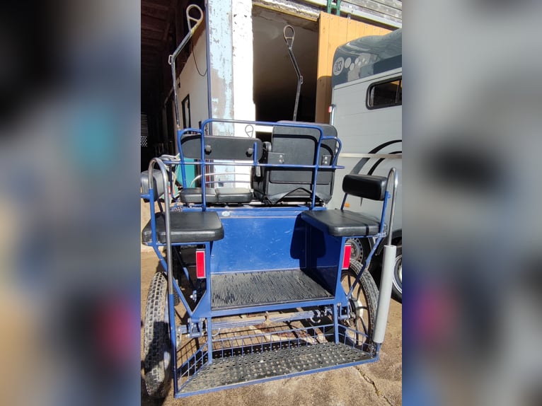 Pferde Kutsche in Top Zustand zu verkaufen - Unfallfrei