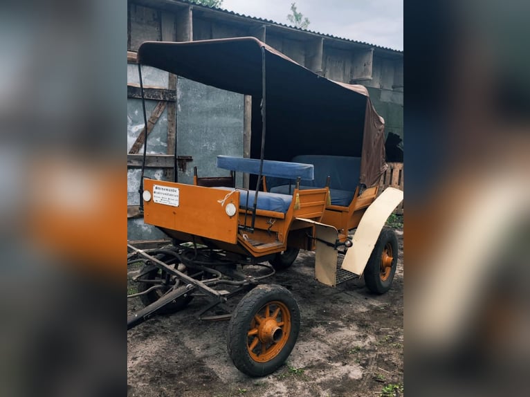 Bryczka z konikiem do agroturystyki