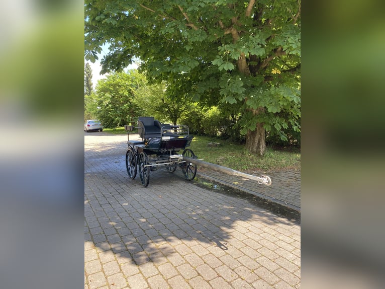 Sprzedam wóz treningowy Kühnle
