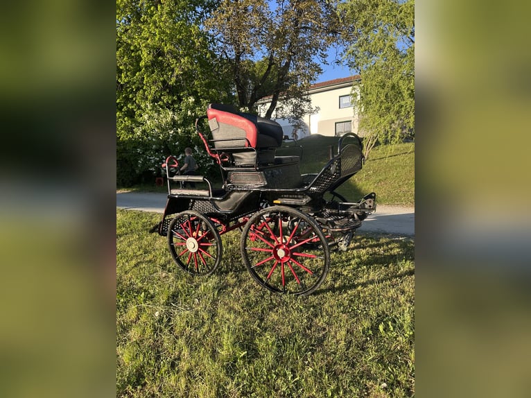 Wagon treningowy Marathonwagen