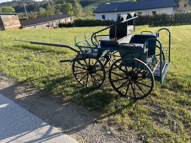 Wagon treningowy Marathonwagen