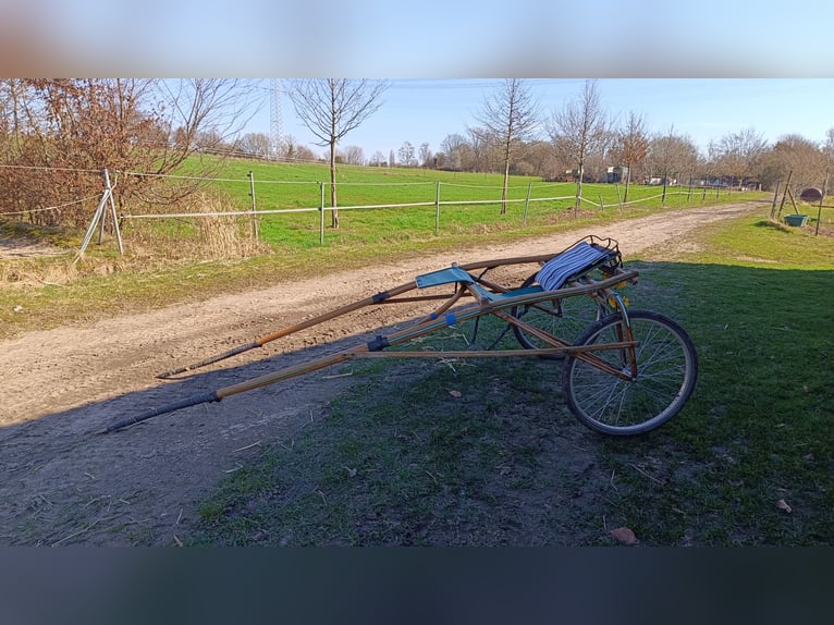 Sulki wraz z uprzężą