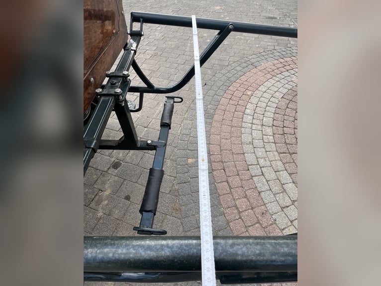 Topowy koń terenowy marki KUBE's Kutschenparadies