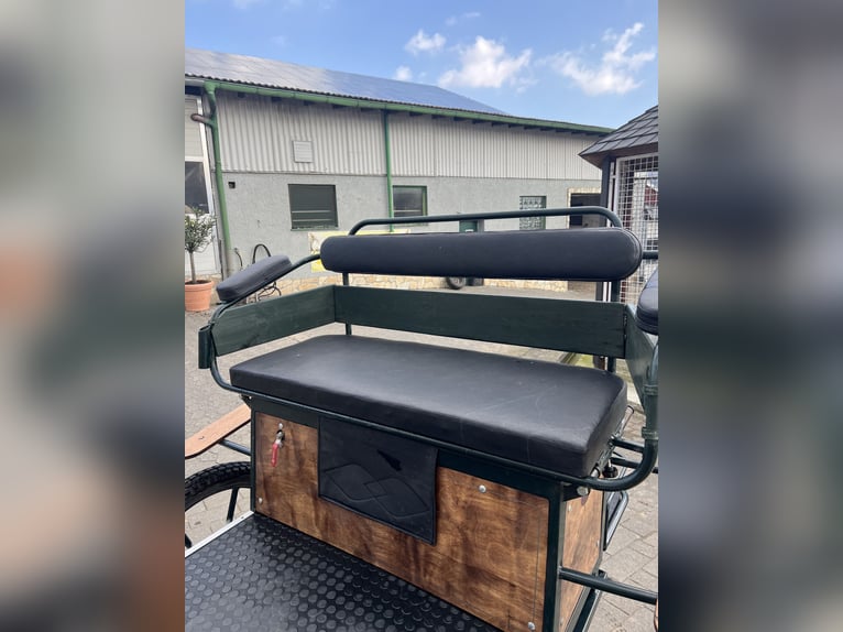 Topowy koń terenowy marki KUBE's Kutschenparadies