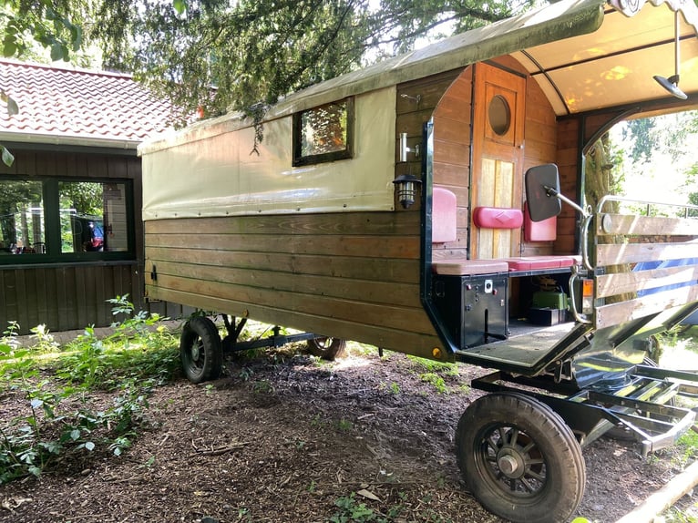 Planwagen, Trapper Wagen, Vintage-Tiny-House, Wohnmobil Kutsche