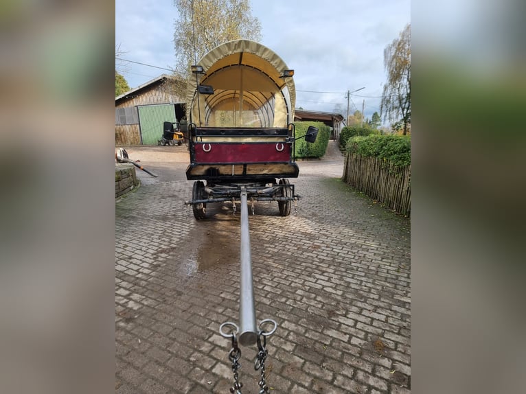 Wóz konny na 16 osób