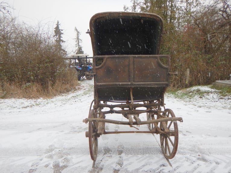 Doktorwagen – historyczna kareta