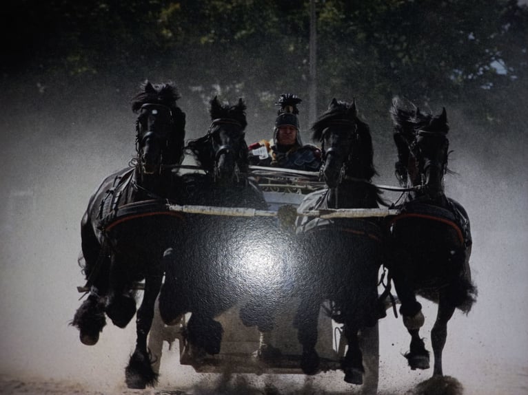Historischen Kampfwagen