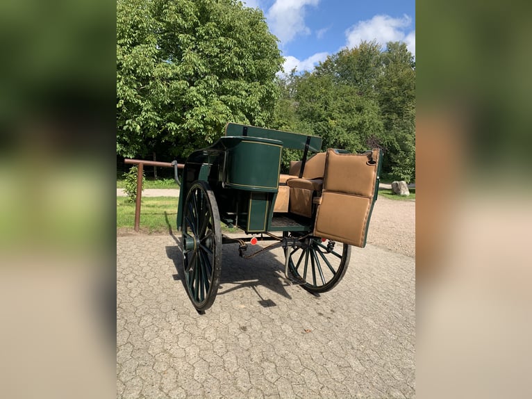 Historyczna kareta – Giga dla guwernantek