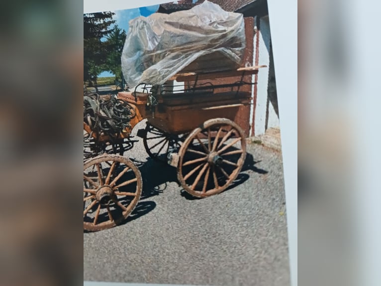 Stare bryczki, wagonetki, bryczki lekarza