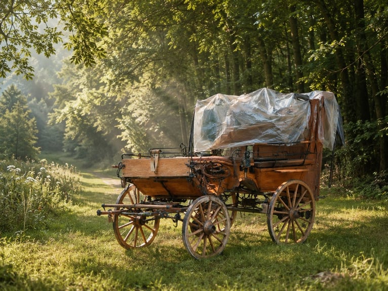 Stare bryczki, wagonetki, bryczki lekarza