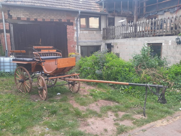 Wóz konny – Zabytkowa Wagonette w stanie oryginalnym