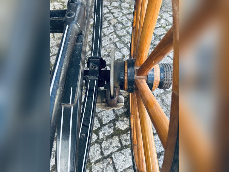 Wysokiej jakości 6-osobowa kareta konna z skórą i aksamitem, powóz konny