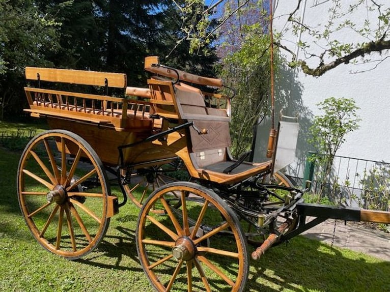 Ekskluzywna wagonetka - dzieło mistrzowskie z naturalnego dębu