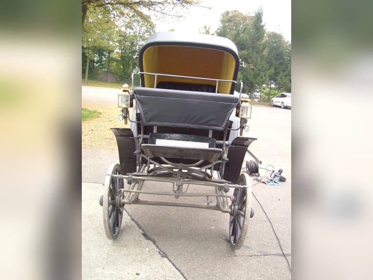 historyczna Viktoria, potwierdzony rok produkcji 1924, starannie odrestaurowana