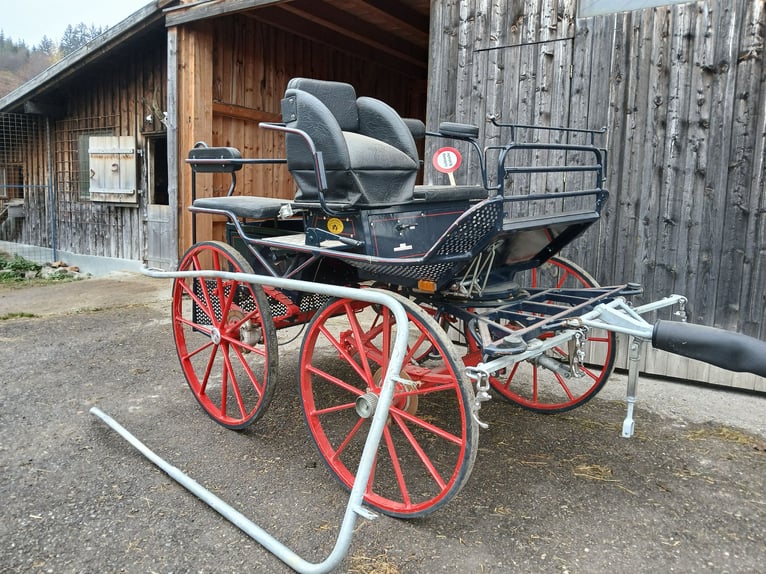Marathonkutsche
